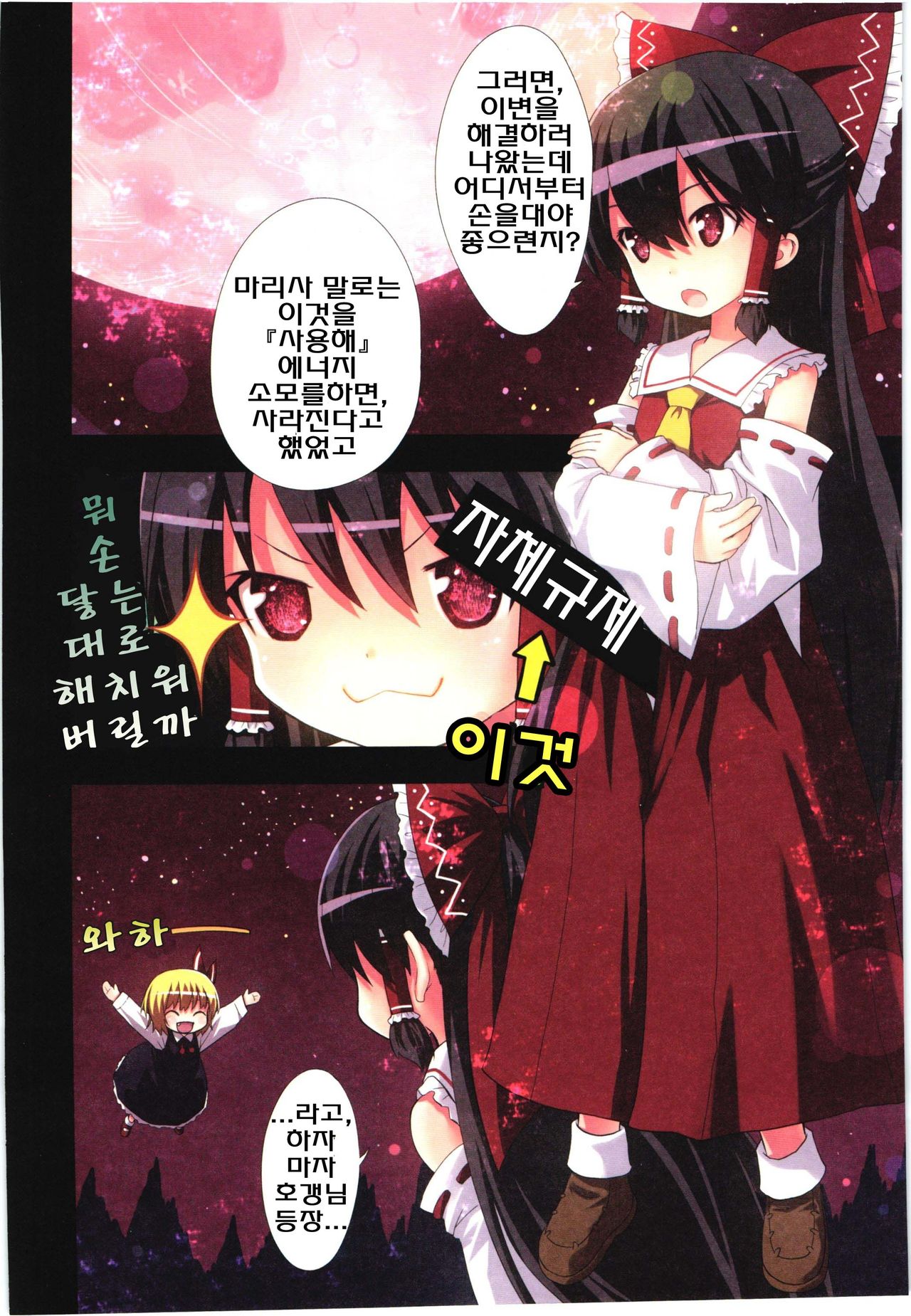 Kichiku Ou Reimu - Touhou Koumakyou Kouryakubon -Ike Mawari Hen- | 귀축왕 레이무 동방홍마향 공략본 -홍마관편- page 9 full
