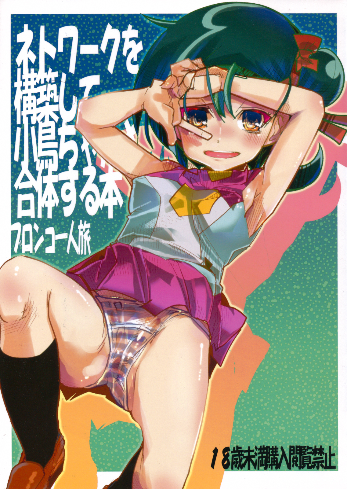 Network o Kouchiku Shite Kotori-chan to Gattai Suru Hon page 1 full