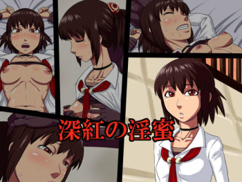 Miku no Inmitsu cover