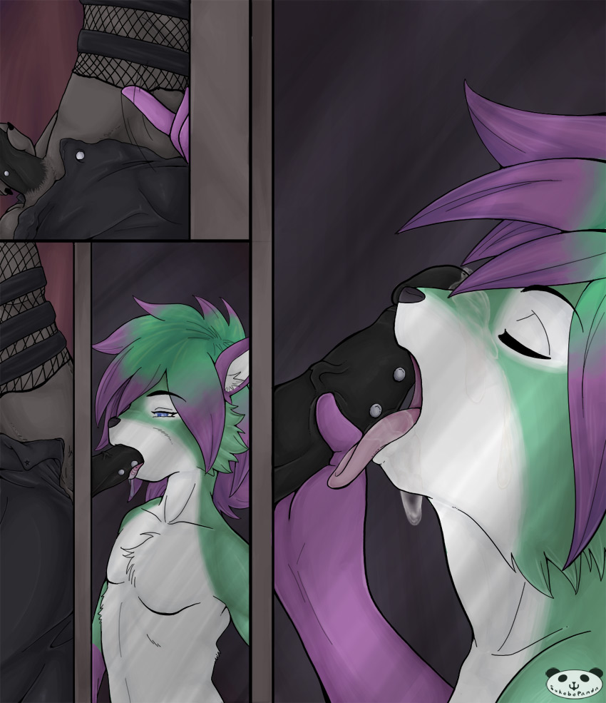 Gay Furry Facials page 10 full
