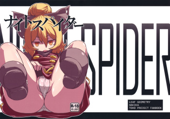 Nightspider cover