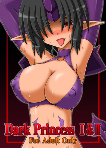 Dark Princess Soushuuhen cover