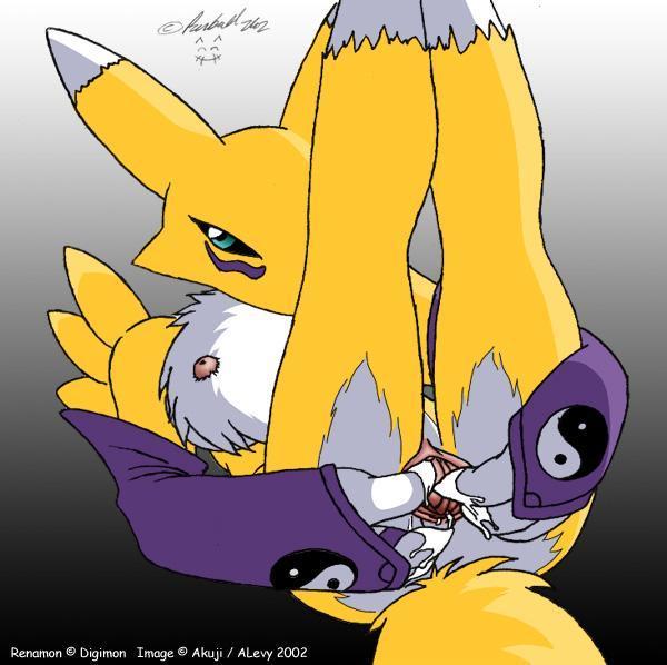 furry pics "23" page 10 full