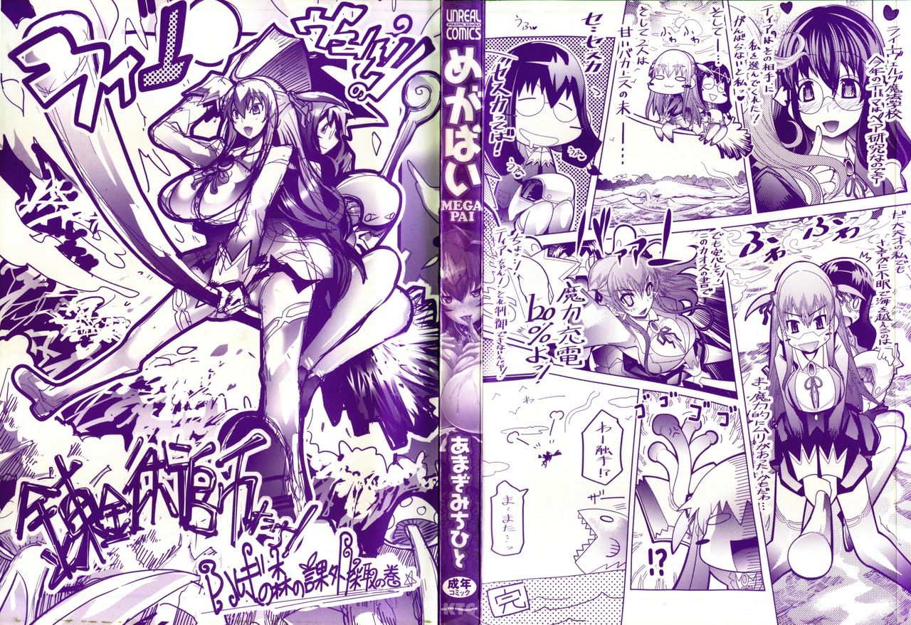 MegaPai page 3 full