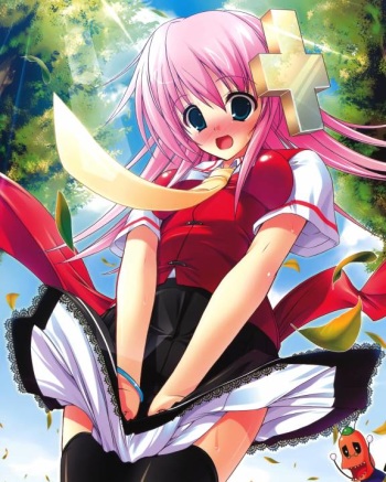 Windy skirts cover