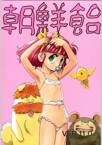 Chousen Ame Ver.11 cover