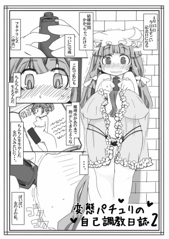 Hentai Patchouli no Jiko Choukyou Nisshi 2 cover