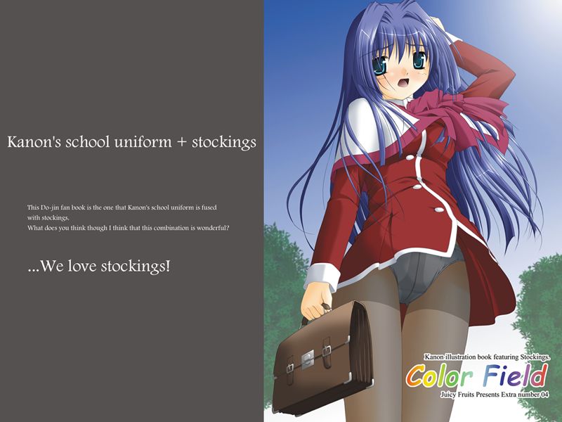 Juicy Fruits Presents Extra number 04 Color Field  Kanon illustration book featuring Stockings. page 5 full