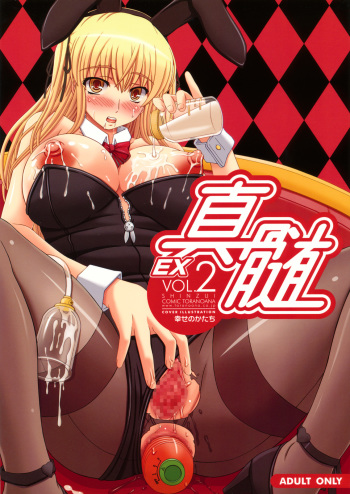 Shinzui EX Vol. 2 cover