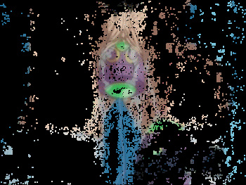 picture action 2 cover