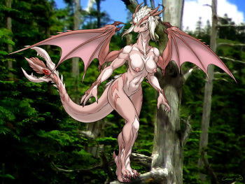 Dr. Comet Dragons UPDATE cover