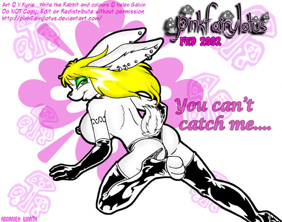 Pink Fairy Lotus page 4 full