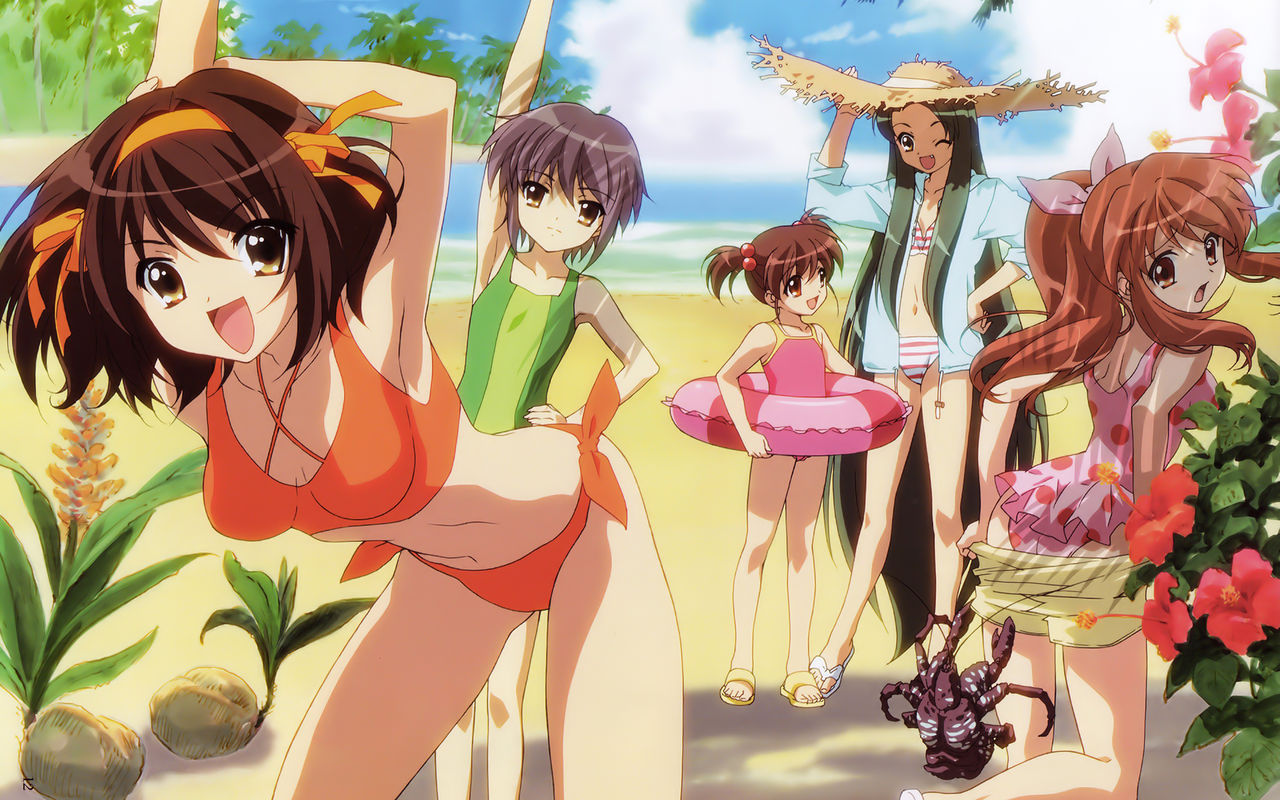 Ecchi-hentai suzumiya haruhi wallpapers page 1 full
