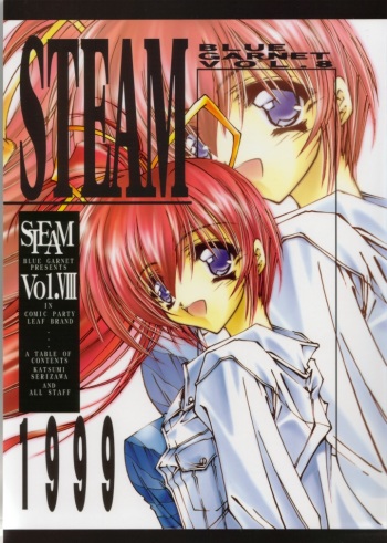 STEAM vol. VIII cover