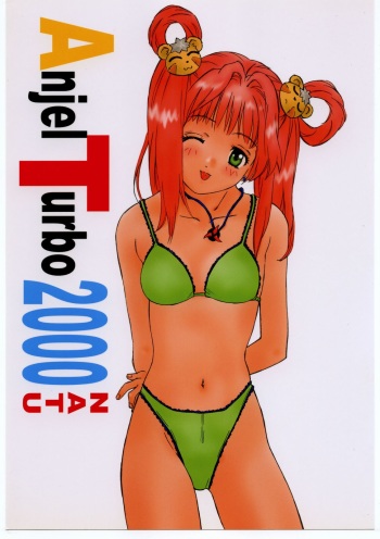 Anjel Turbo 2000 Natu cover