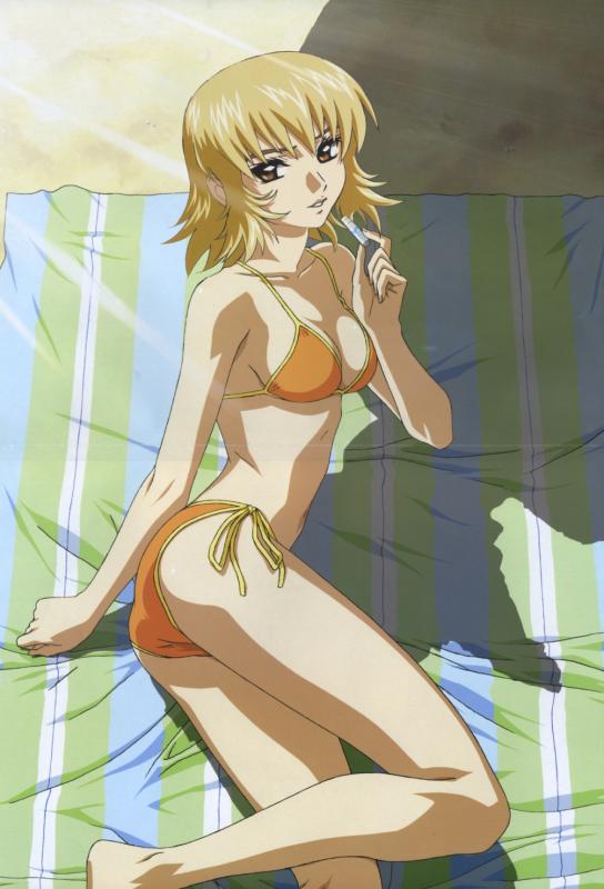 Fav. GundamSeed page 10 full