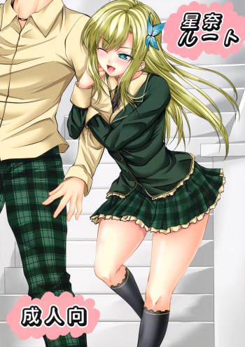 Sena Route cover