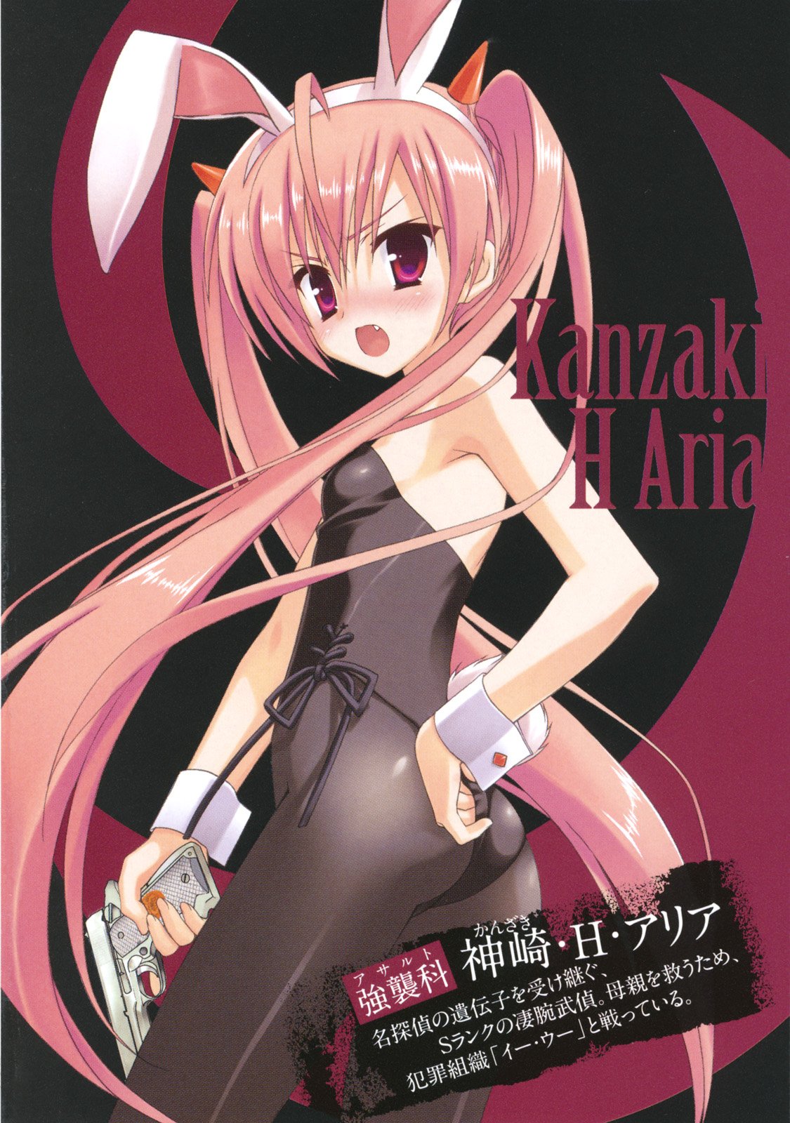 Hidan no Aria hentai pics page 1 full