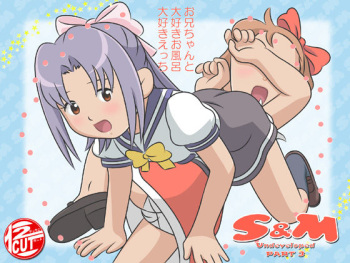 S&amp;M cover