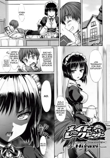 Maid in Secret cover