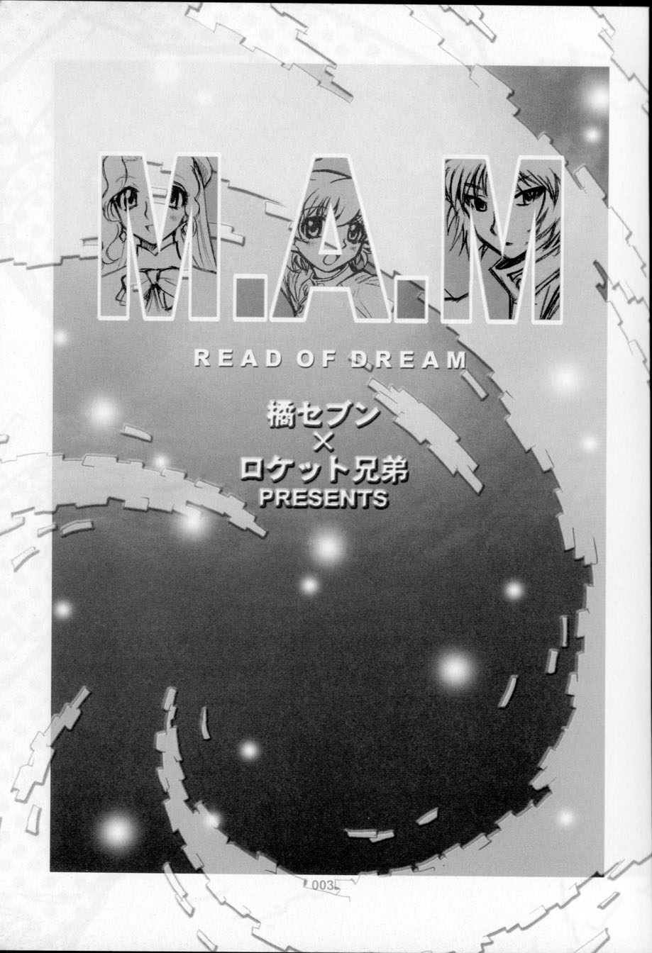 M.A.M. page 3 full