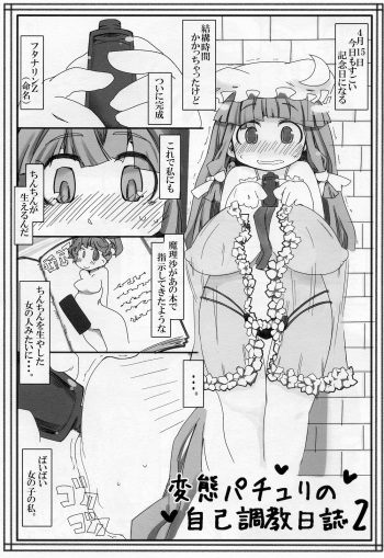 Hentai Patchouli no Jiko Choukyou Nisshi 2 cover