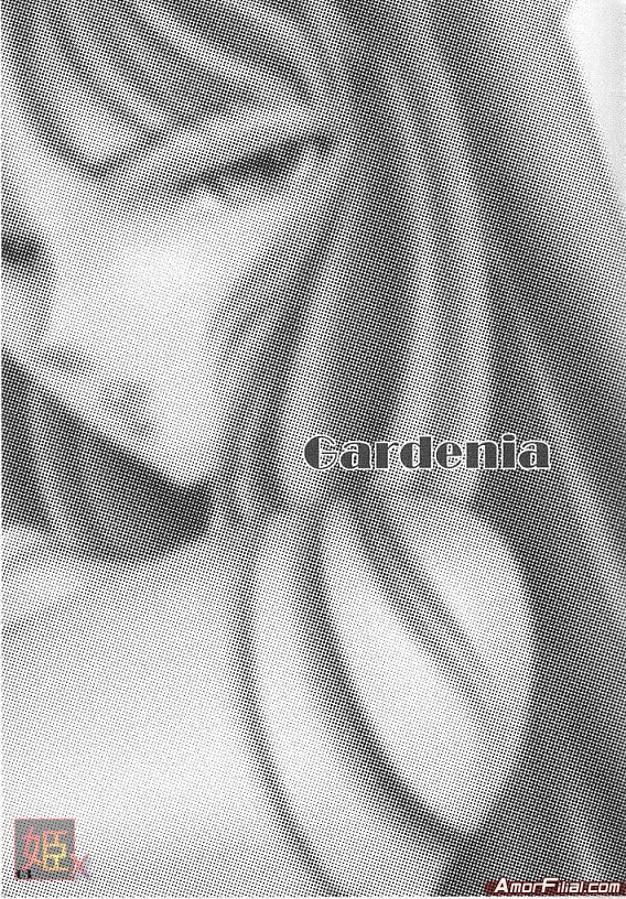 Gardenia page 2 full