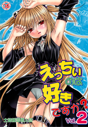 Ecchii no wa Suki Desu ka? 2 cover