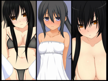 R-16 cover