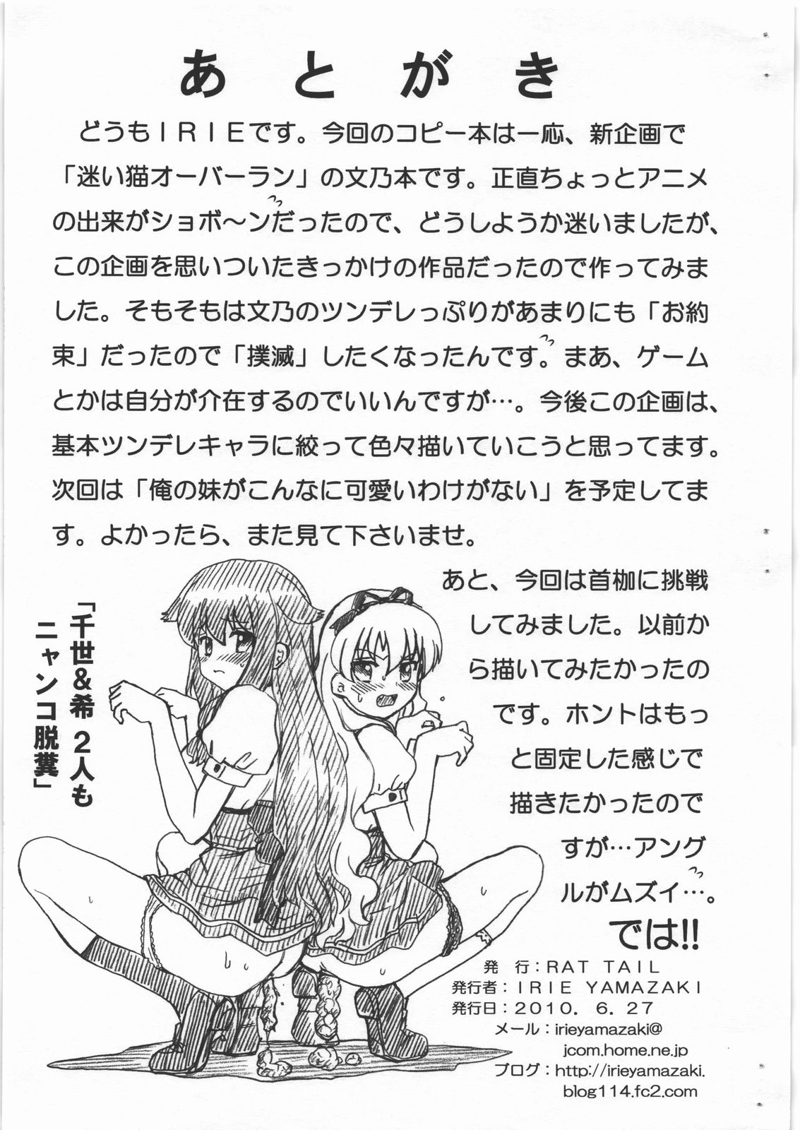 MAYOINEKO FILE Serizawa Fumino Gazoushuu page 9 full