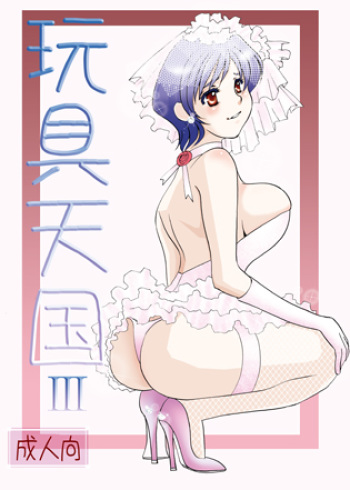 Toy Heaven 3 cover