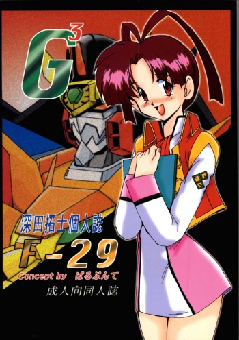 F-29 cover