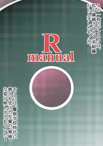 Rmanual R.B補完計画 cover