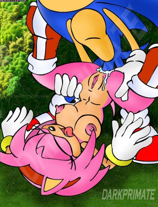 Amy Rose page 5 full