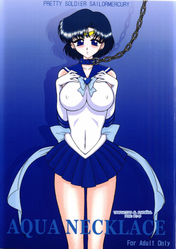 Aqua Necklace cover
