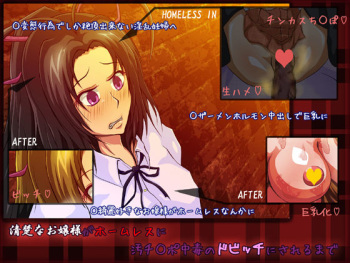 Seiso na Ojousama ga Homeless ni Ochinpo Chuudoku no Do Bitch ni Sareru made cover