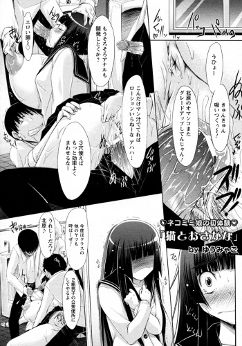 Neko to Osakana cover