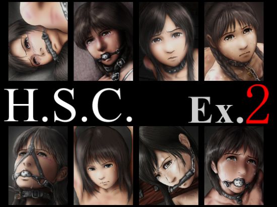 H.S.C. Illust Collection Ex.2 page 1 full