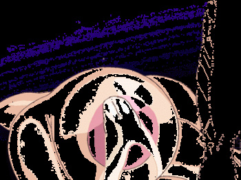 Animated GIFS cover