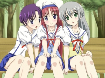 4040 Image set cover