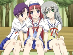 4040 Image set