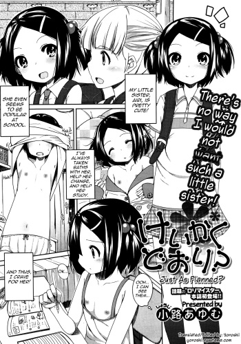 Keikaku Doori? | Just As Planned? cover