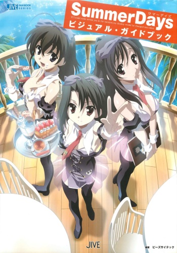 SummerDays Visual Guide Book cover