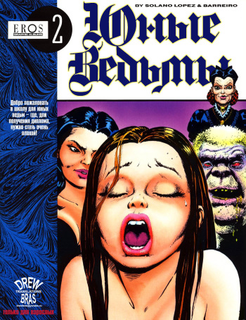 The Young Witches cover
