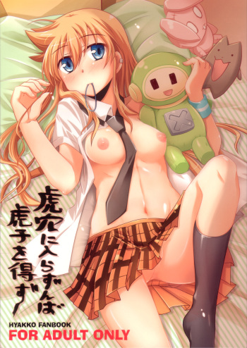 Koketsu ni Irazunba Torako o Ezu | Unless You Enter the Tiger's Den You Cannot Take the Torako cover