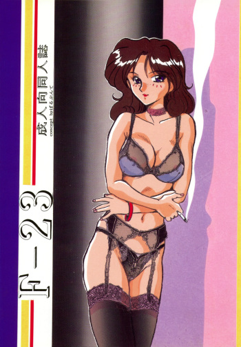 F-23 cover