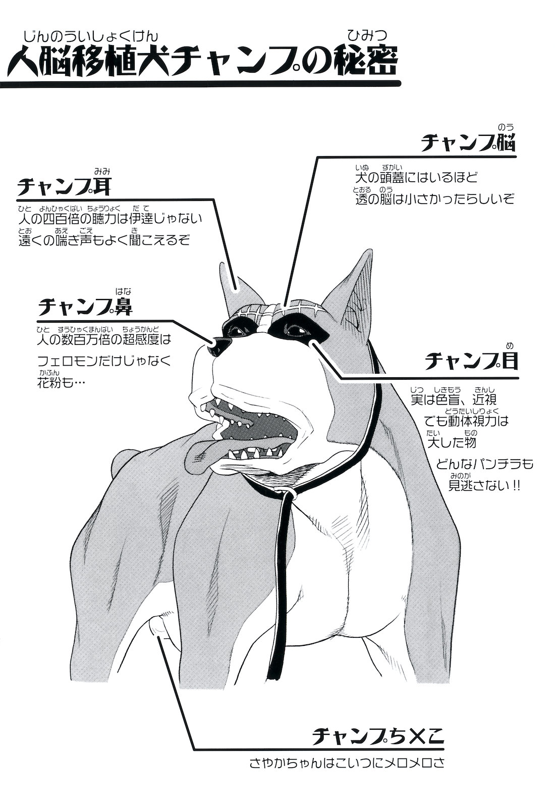 Inu no Seikatsu - A Dog's Life page 6 full