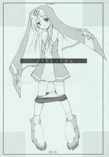 Bri no Ecchi Hon cover