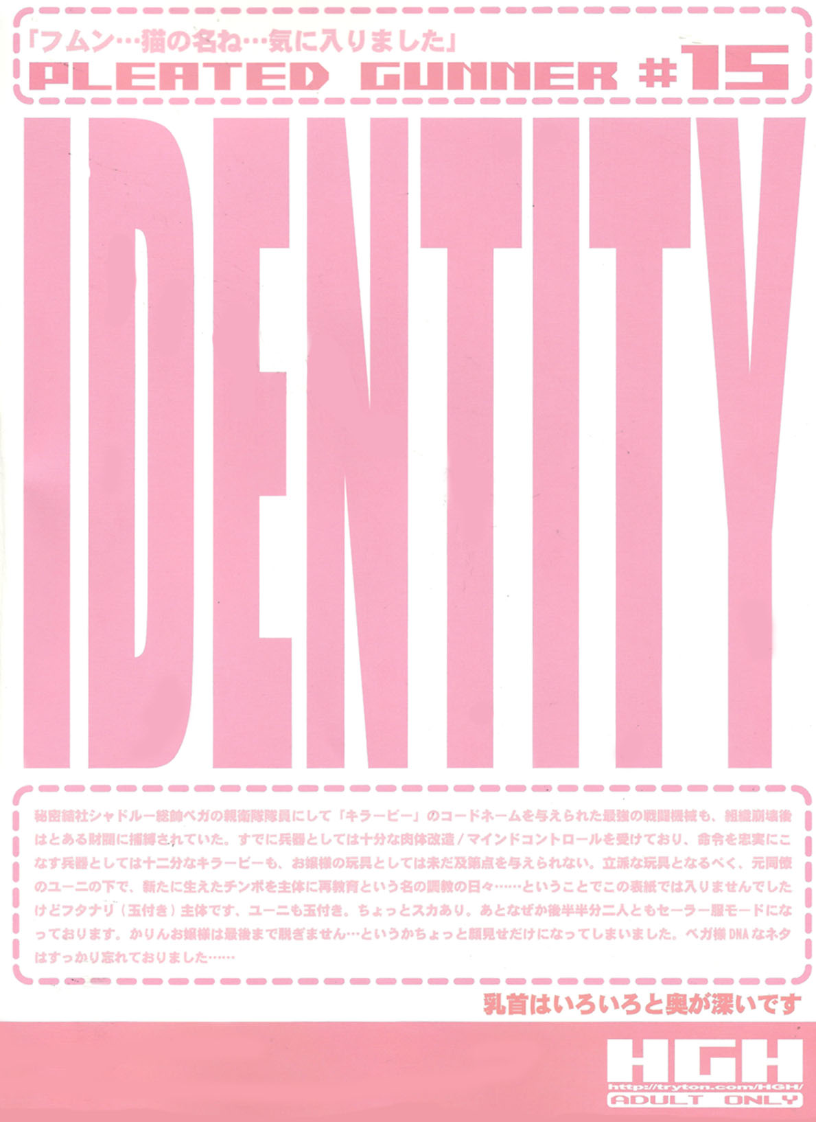 Pleated Gunner 15 - IDENTITY page 2 full