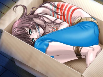 bondage cg 2 cover